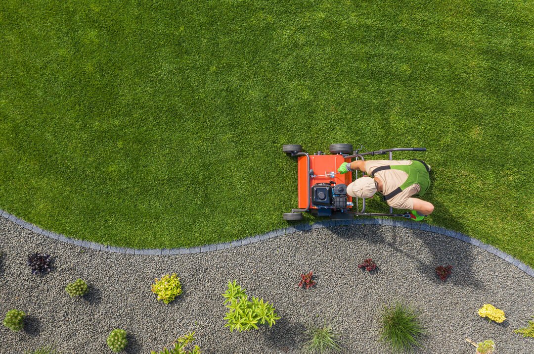 How to Aerate Your Lawn