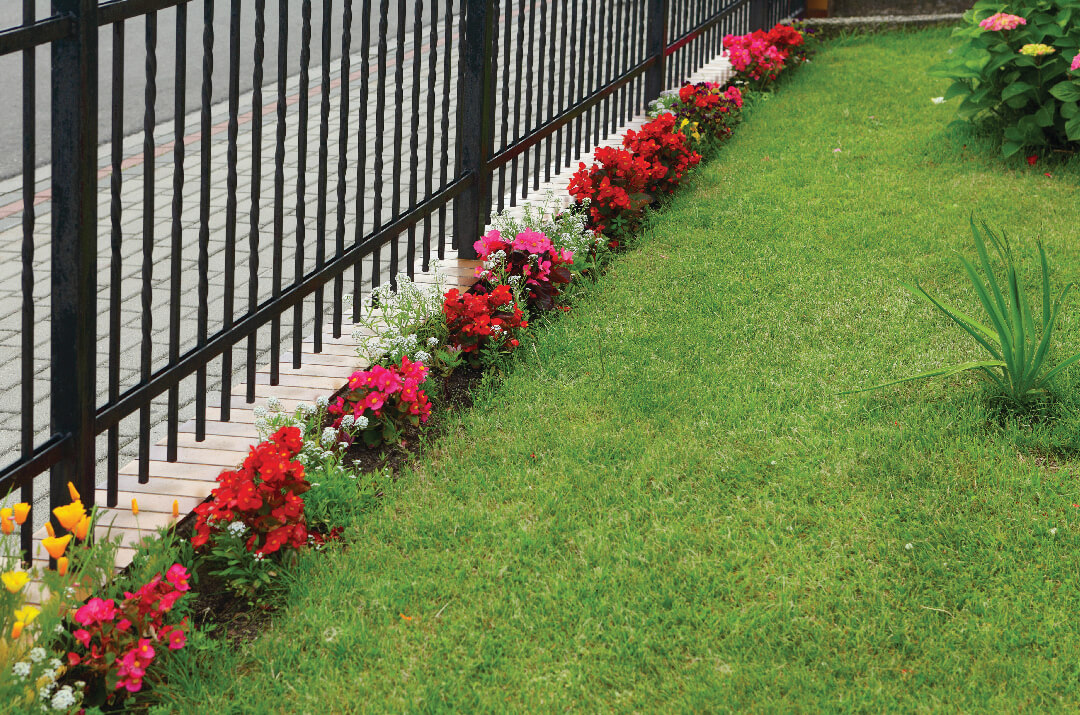 How to Get Rid of Moles in Your Lawn