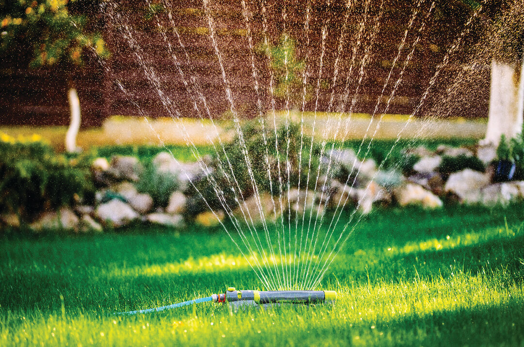 How Long to Water Your Lawn