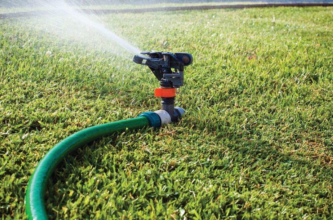 Lawn Watering Tips